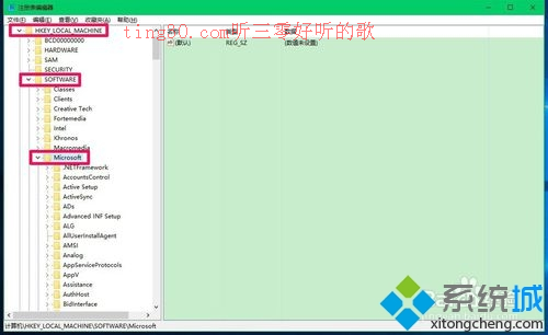 展开：HKEY_Local_MACHINE\Software\Microsoft