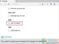 让Edge浏览器速度更快！开启TCP快速打开的方法_win10专业版技巧