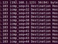网络常见的9大命令 非常实用！_win10专业版技巧