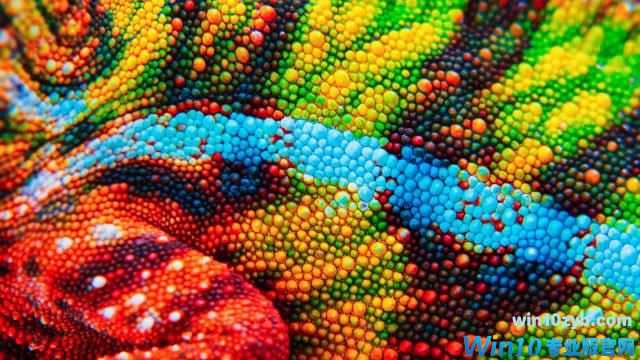 如何在Win10中校准您的显示器颜色