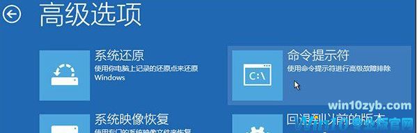 win10系统1