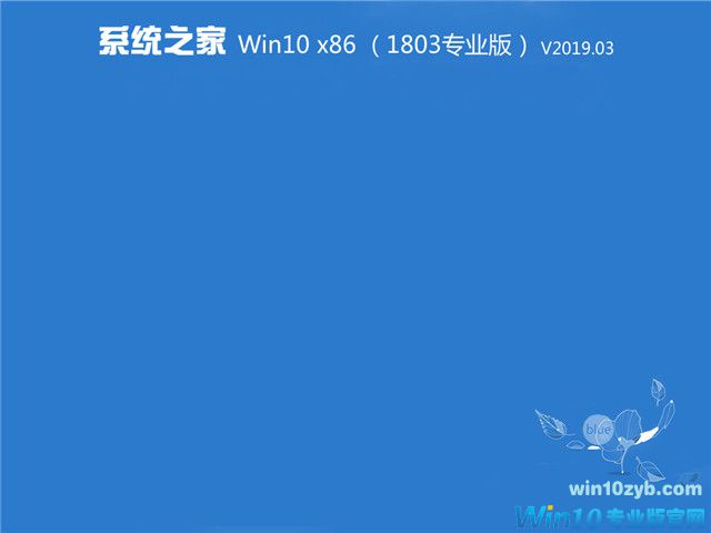 系统之家 Win10 x86（1803专业版）v2019.03