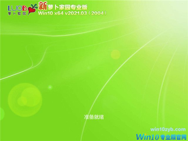 萝卜家园 Win10 64位专业版(2004) v2021.03