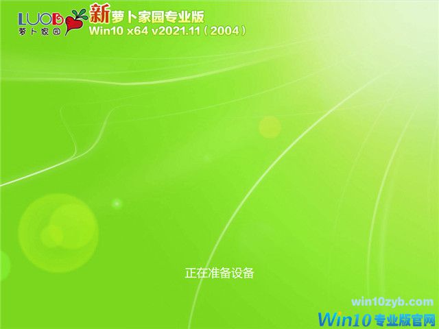 萝卜家园 Win10 64位专业版(2004) v2021.11