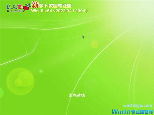萝卜家园 Win10 64位专业版(2004) v2022.04