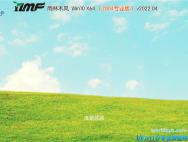 雨林木风 Win10 64位专业版(2004) v2022.04