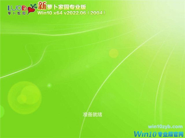 萝卜家园 Win10 64位 稳定专业版 v2022.06