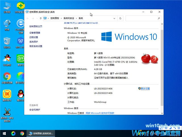 萝卜家园 Windows 10 64位 中文专业版 V2023.03