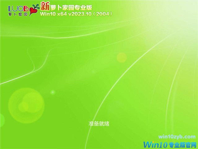 萝卜家园 Windows10 64位 专业版（22H2）V2023.10