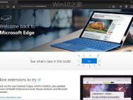 微软Windows10 Edge浏览器支持VP9等格式_win10专业版官网