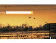 Win10“红与黑”：装机量不是唯一指标