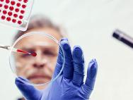 Win10无缘政府采购 苹果将推出三款新iPad