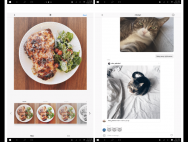 Instagram 更新其 Win10 新版本， 用户可以在电脑和平板上使用