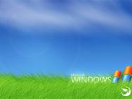 什么鬼？Windows XP份额连续俩月上涨