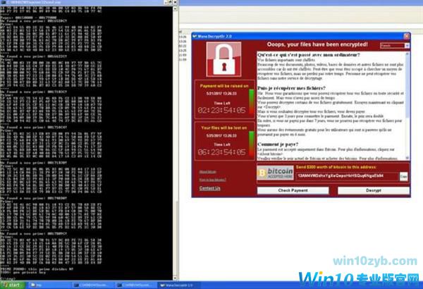 勒索病毒中招者有救了！这款软件能恢复数据
