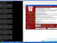 勒索病毒中招者有救了！这款软件能恢复数据