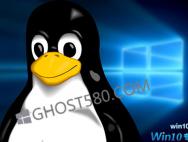 慕尼黑从Linux切换到Win10将花费5000万欧元