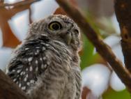 Windows 10 4月更新任务栏消失：一个快捷键轻松搞定