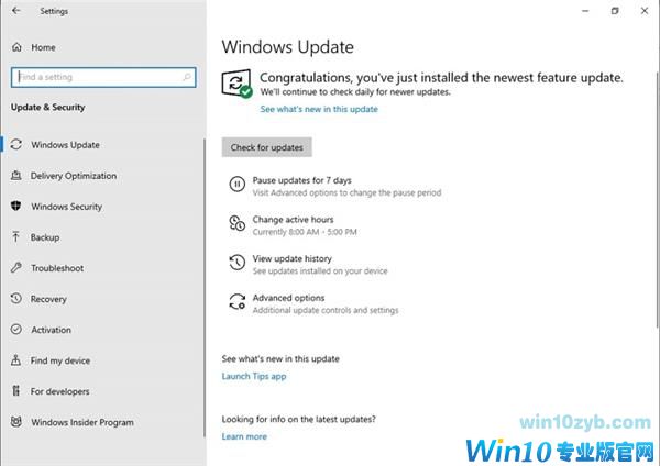Windows 10迎来有史以来最美一刻